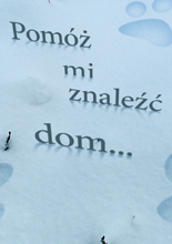 Pomóż mi znaleźć dom