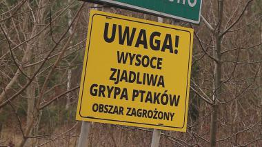 nazwa posta
