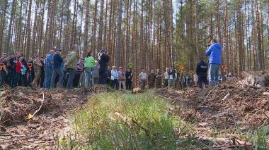 Policjanci i leśnicy świętowali sadząc dęby
