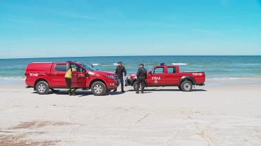 Oleiste bryły ponownie pojawiły się na plaży