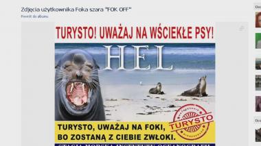Krwiożercze foki z plakatu psują wizerunek Helu w sieci