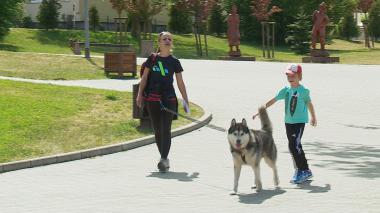 Na trekking… z psem