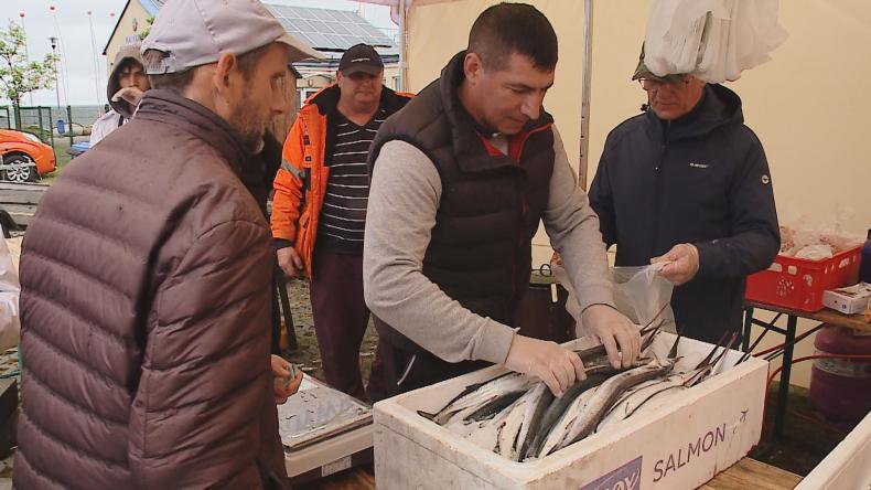 Święto belony w Pucku