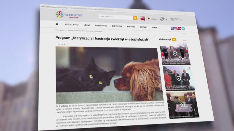 Rusza program „Sterylizacja i kastracja zwierząt właścicielskich”