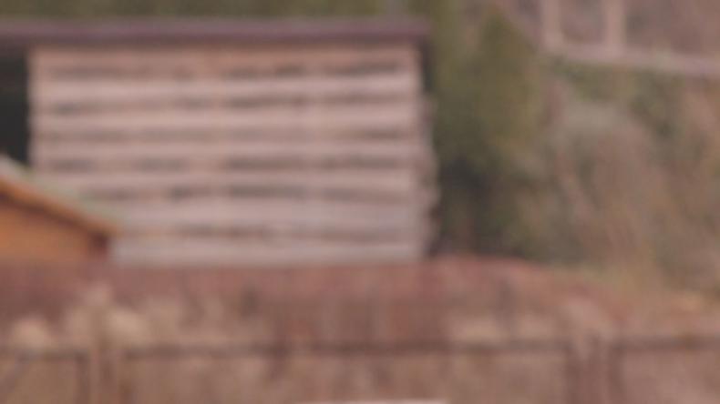 Zabójstwo w gminie Krokowa, zatrzymana 30-latka