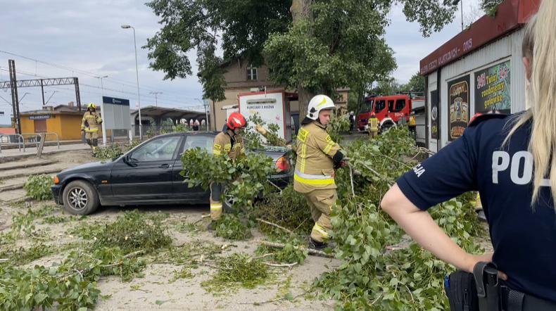 Konar drzewa runął na samochód