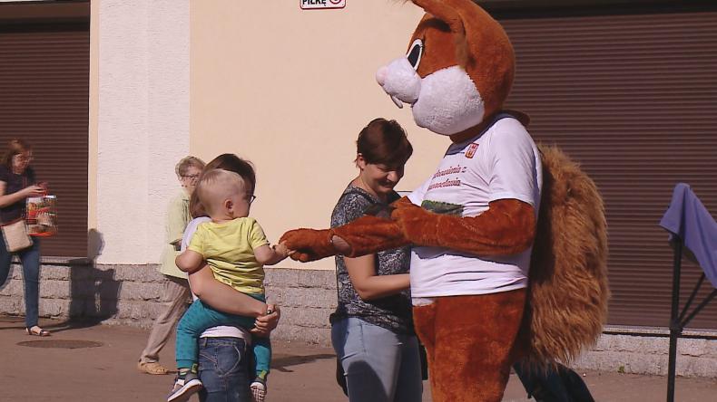 Wyjątkowa wiewiórka na ulicach Wejherowa