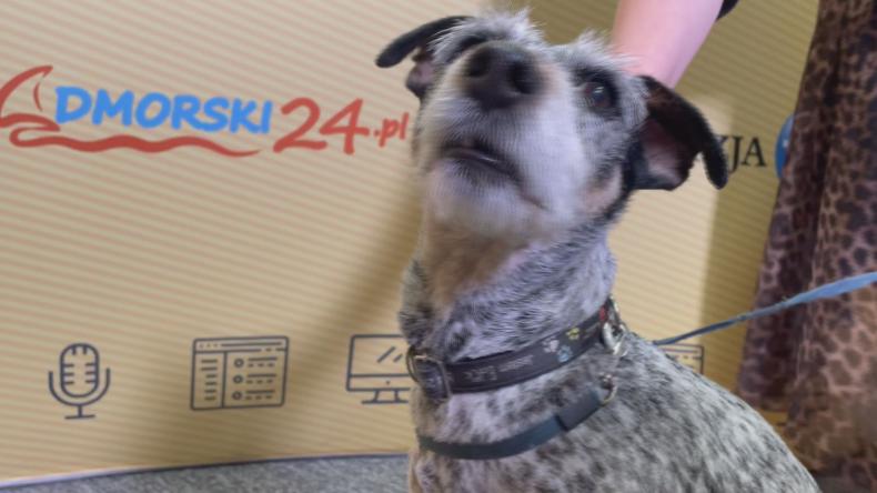 Niezwykły gość odwiedził nasze studio