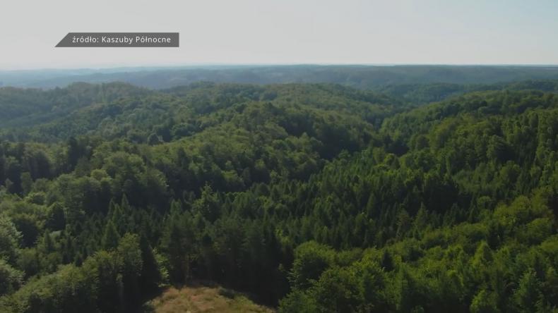 Film o Kaszubach Północnych nagrodzony