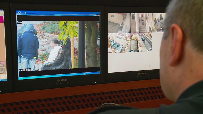 Śp. red. Regina Osowicka z niechcianym towarzystwem