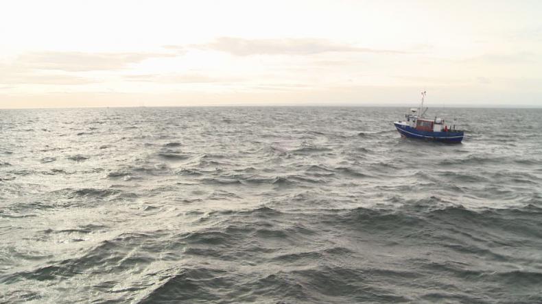 Co się dzieje z rybami z  Zatoki Puckiej?