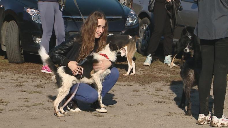 Dąbrówka: Bieg na 6 łap