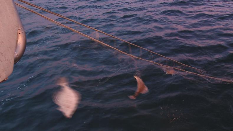 Kolejne ograniczenia dla rybaków