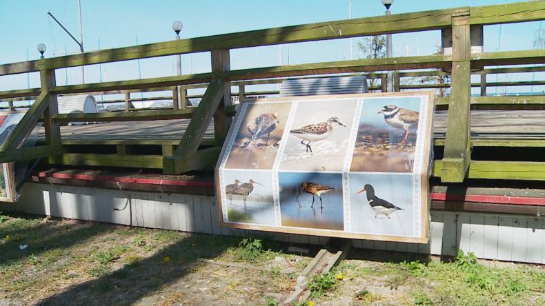 Puck z kolejnymi atrakcjami