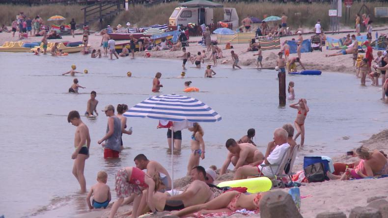 Turyści zagrażają bałtyckim fokom