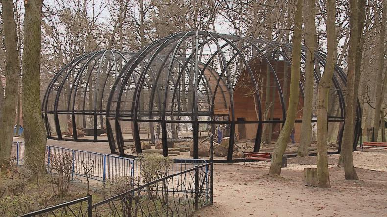 Kiedy pojawią się bieliki i żurawie w wejherowskim parku?