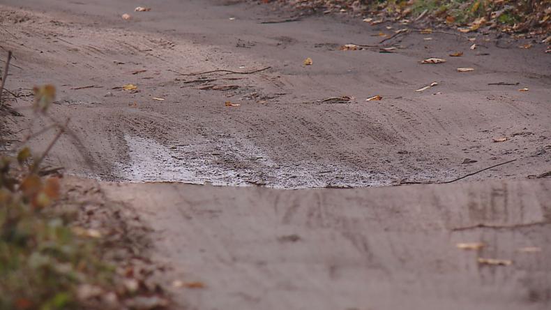 Walczą o lepszą drogę do schroniska w Dąbrówce