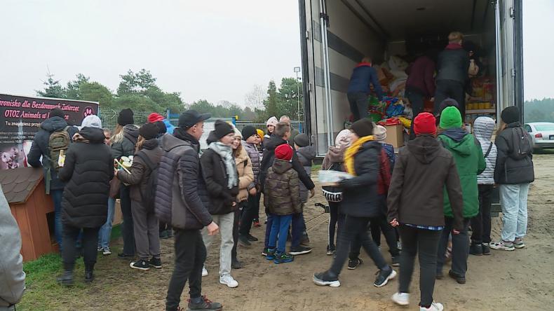 Sukces akcji „Pełna miska dla schroniska”