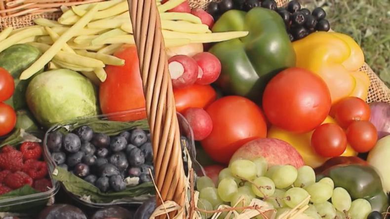 Kolejne pokolenia na działkach Janowo