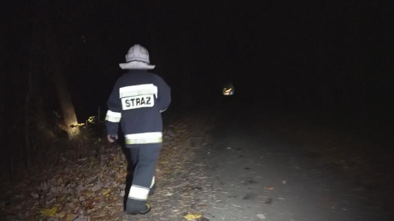 Szczęśliwy finał wieczornych poszukiwań