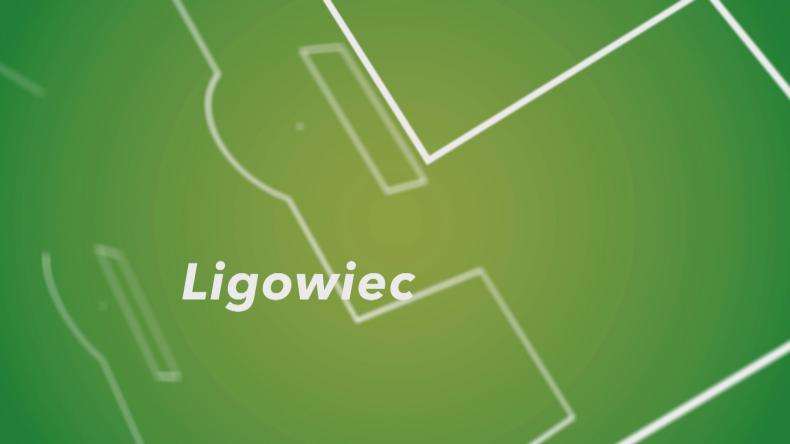 Gryf Wejherowo vs Puszcza Niepołomice