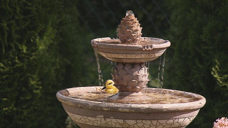 Najpiękniejsze ogrody i balkony wybrane