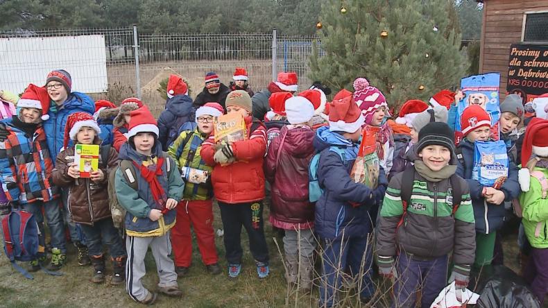 Dzieci z dobrą nowiną w schronisku