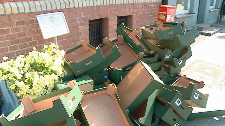 Tony jabłek do podziału