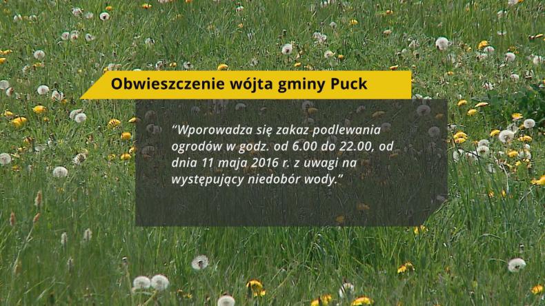 Ogrody mogą podlewać wyłącznie nocą