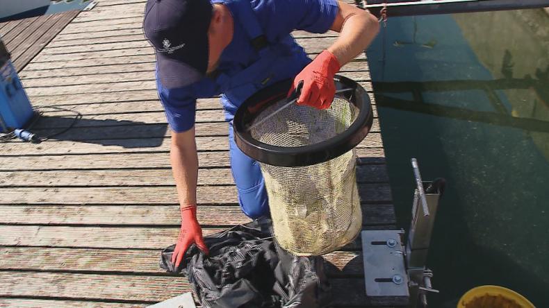 Nowatorski sposób sprzątania śmieci w helskiej marinie