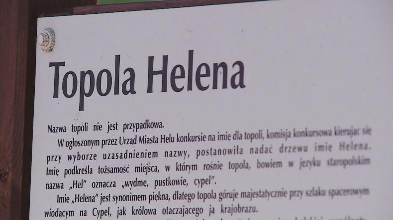 Topola Helena świętowała swoje imieniny