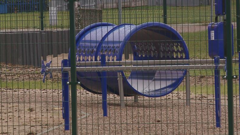 Park rozrywki dla psów powstał w Rumi