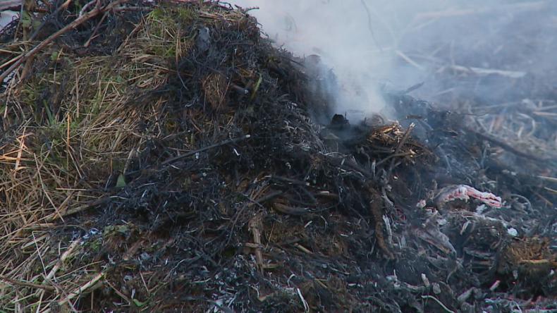 Palący problem na łąkach i w lasach