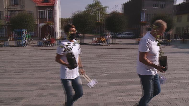 Posadzili „100 drzew na 100-lecie Zaślubin Polski z Morzem"