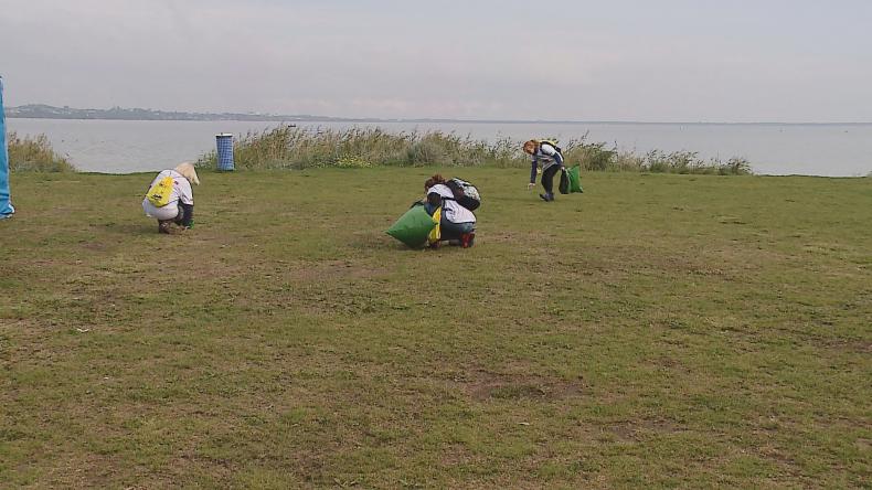 Na plażach zebrali prawie dwie tony śmieci