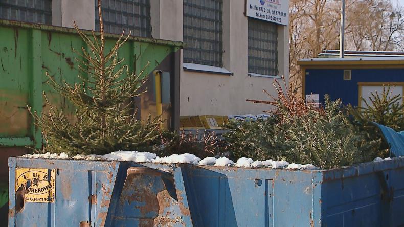 Czas pozbyć się choinki