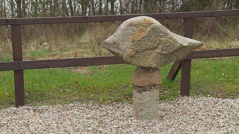 Jastrzębia Góra na tropie zaginionej foki