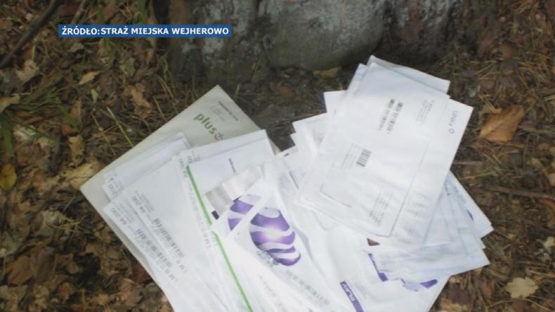 Dokumenty porzucone w lesie