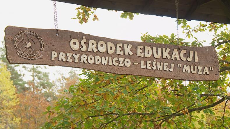 Poznaj tereny na ścieżce „Las za Muzą”