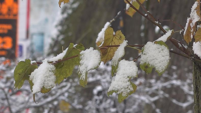 Pierwszy prawdziwie zimowy dzień