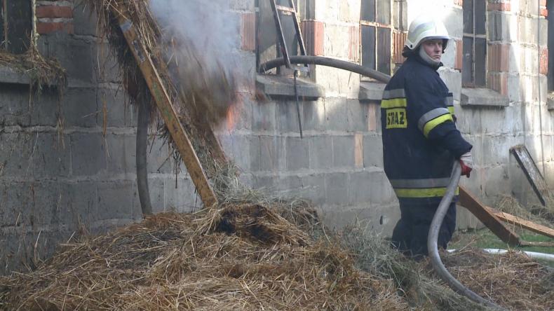 Pożar w Sychowie. Zginęły zwierzęta