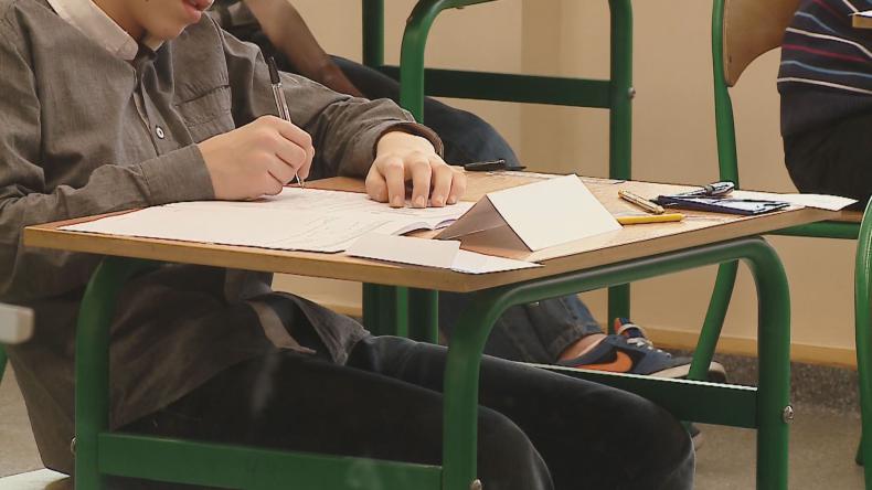 „Słonie i inne mądrale” na egzaminie szóstoklasistów