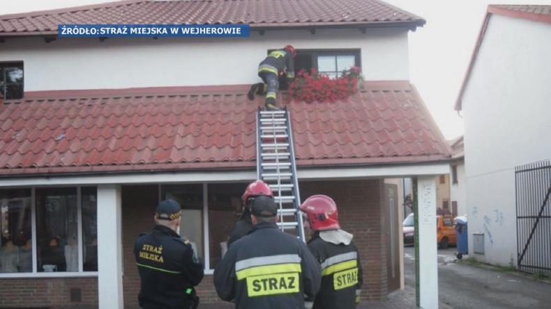 Utknęła w okradanym magazynie