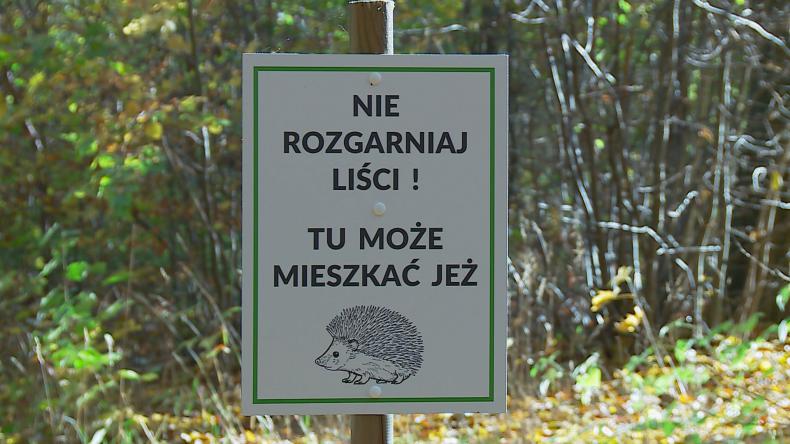 Liściaste sypialnie na zimę gotowe