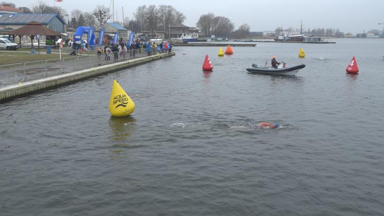 Lodowe Lwy Morskie pływały w Pucku