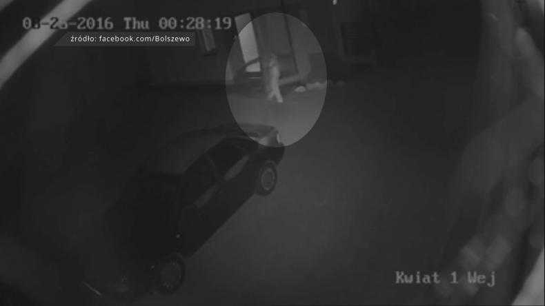 W Bolszewie grasuje złodziej