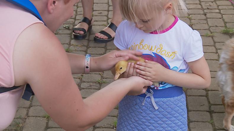 Parkowa Niedziela w Janowie