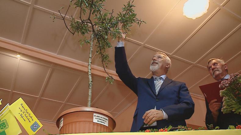 Prezydenckie „gruszki na wierzbie”