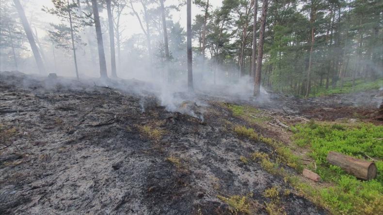 Susza daje się we znaki
