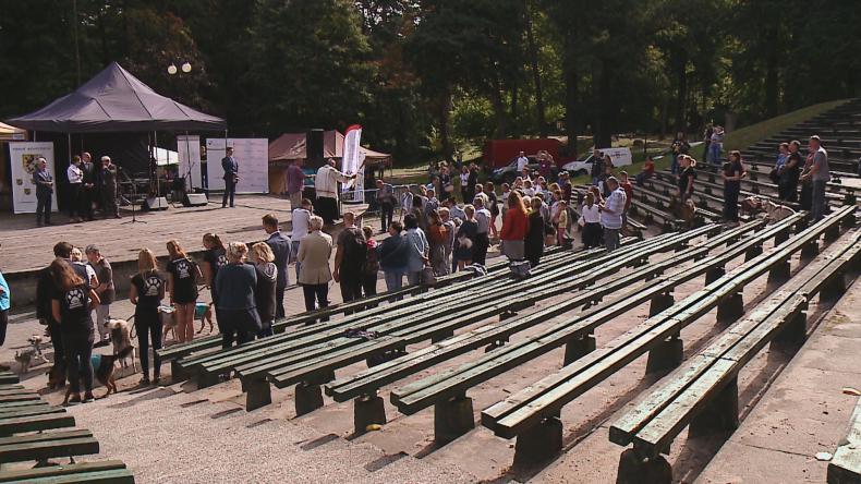 Sprawa o zwierzętach